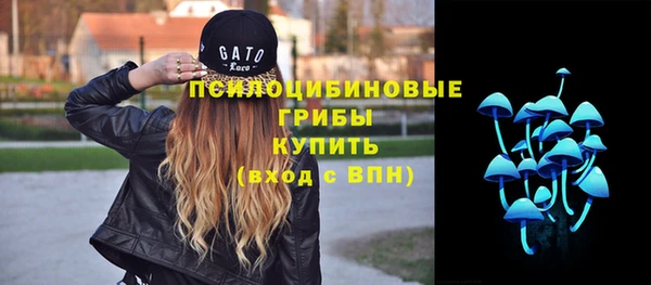 трава Аркадак