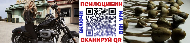 Псилоцибиновые грибы GOLDEN TEACHER Мирный